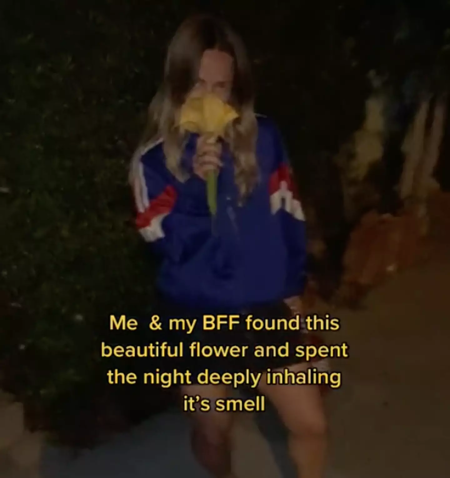 Ralph didn't hesitate to sniff the flower. (TikTok/@songsbyralph)