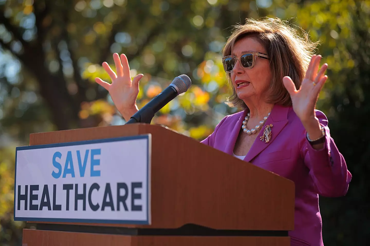 She's credited for campaigning for affordable healthcare (Chip Somodevilla/Getty Images)