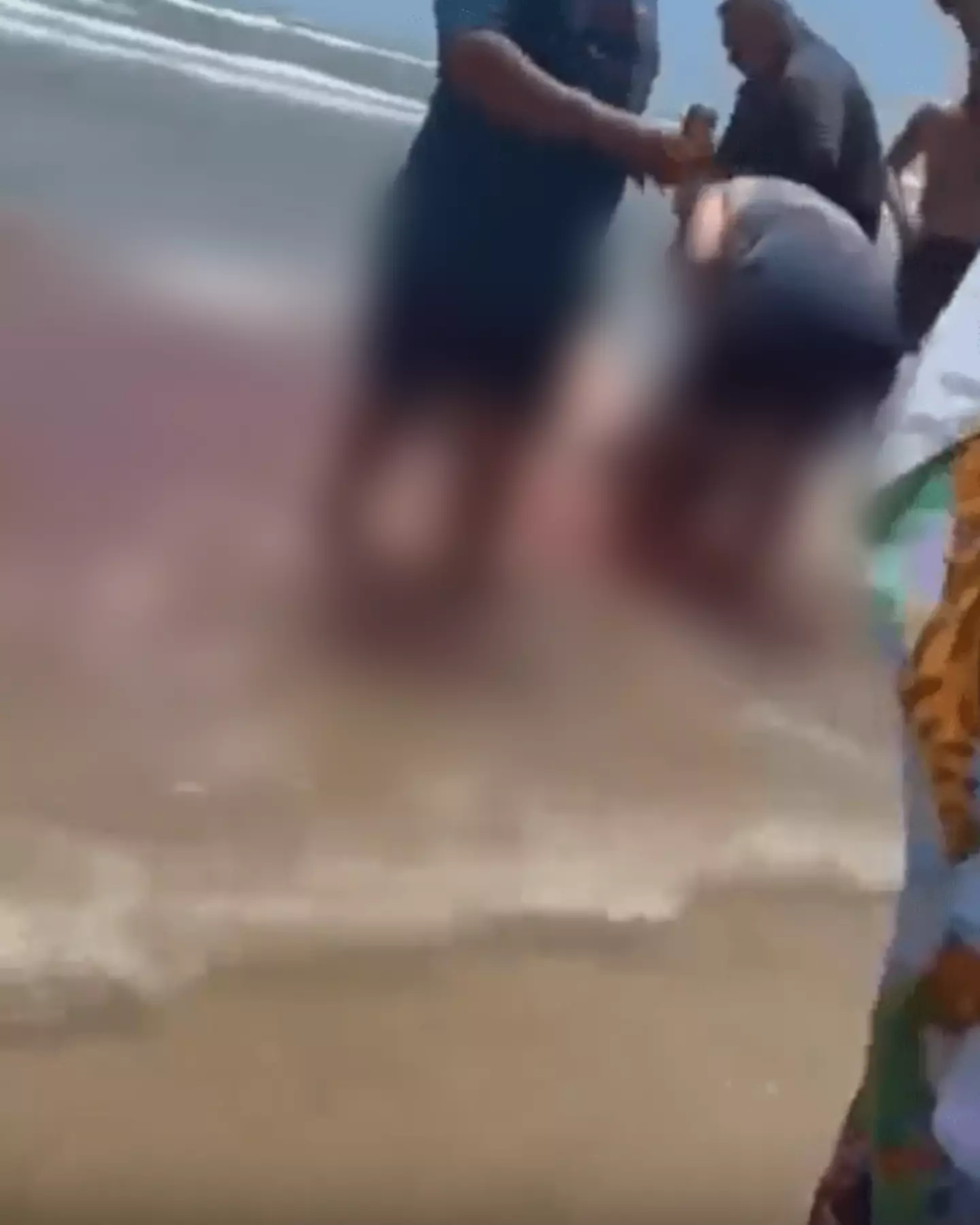 Tabitha was lucky to have survived (Twitter/@kb_mcmillan)