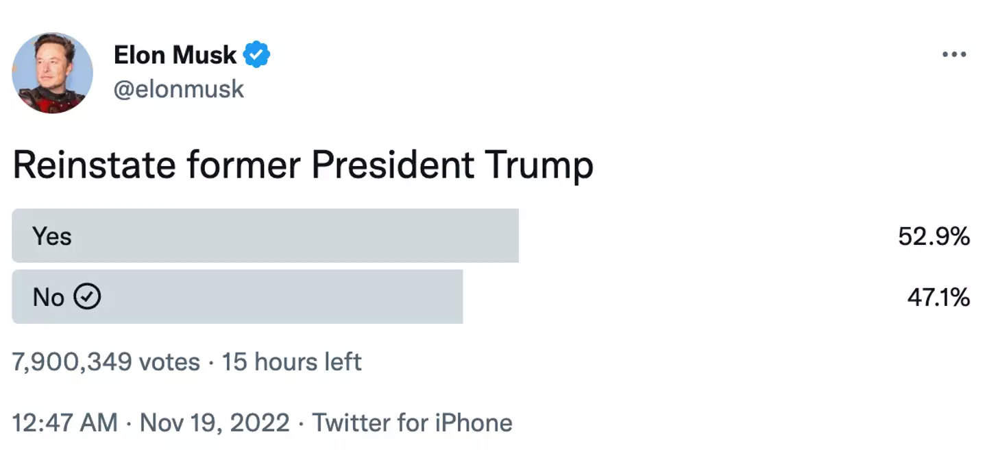 Twitter users are currently voting in favour of Trump's reinstatement.