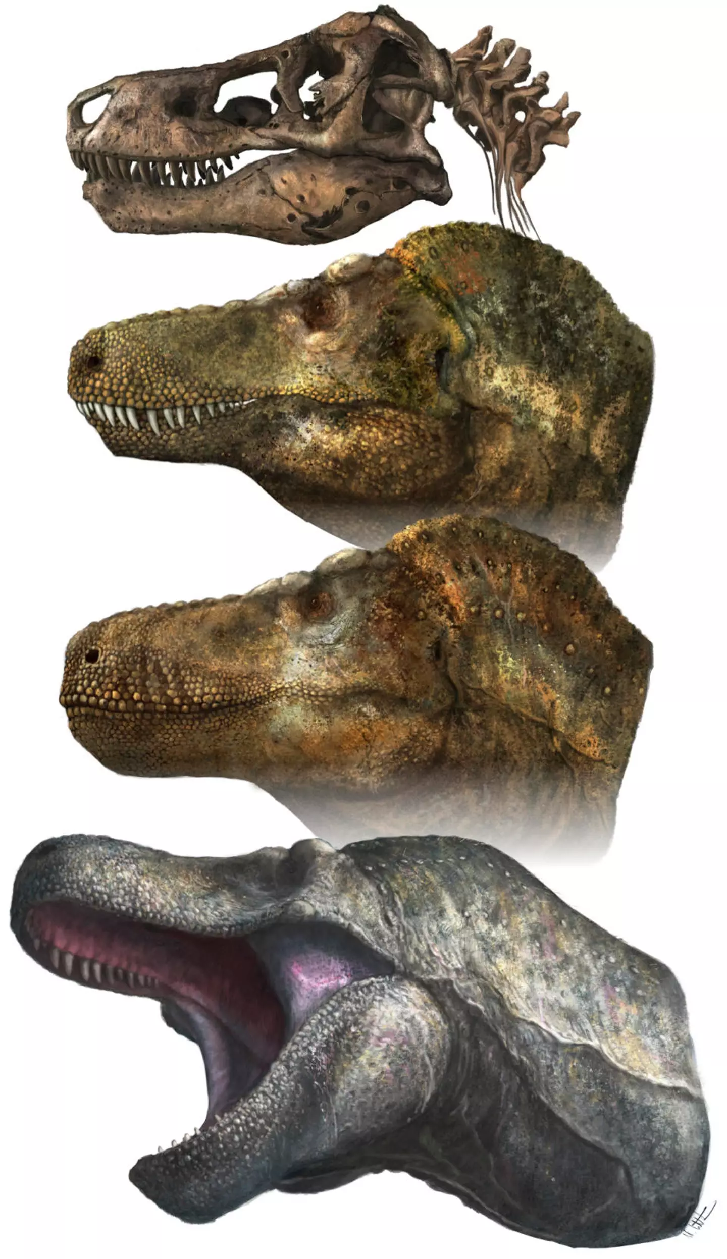 The new paper was published this week.