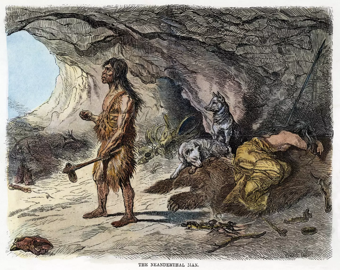 Neanderthals and humans actually lived side by side.