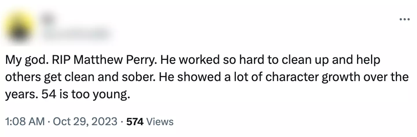 Fans praised Matthew Perry for his work.