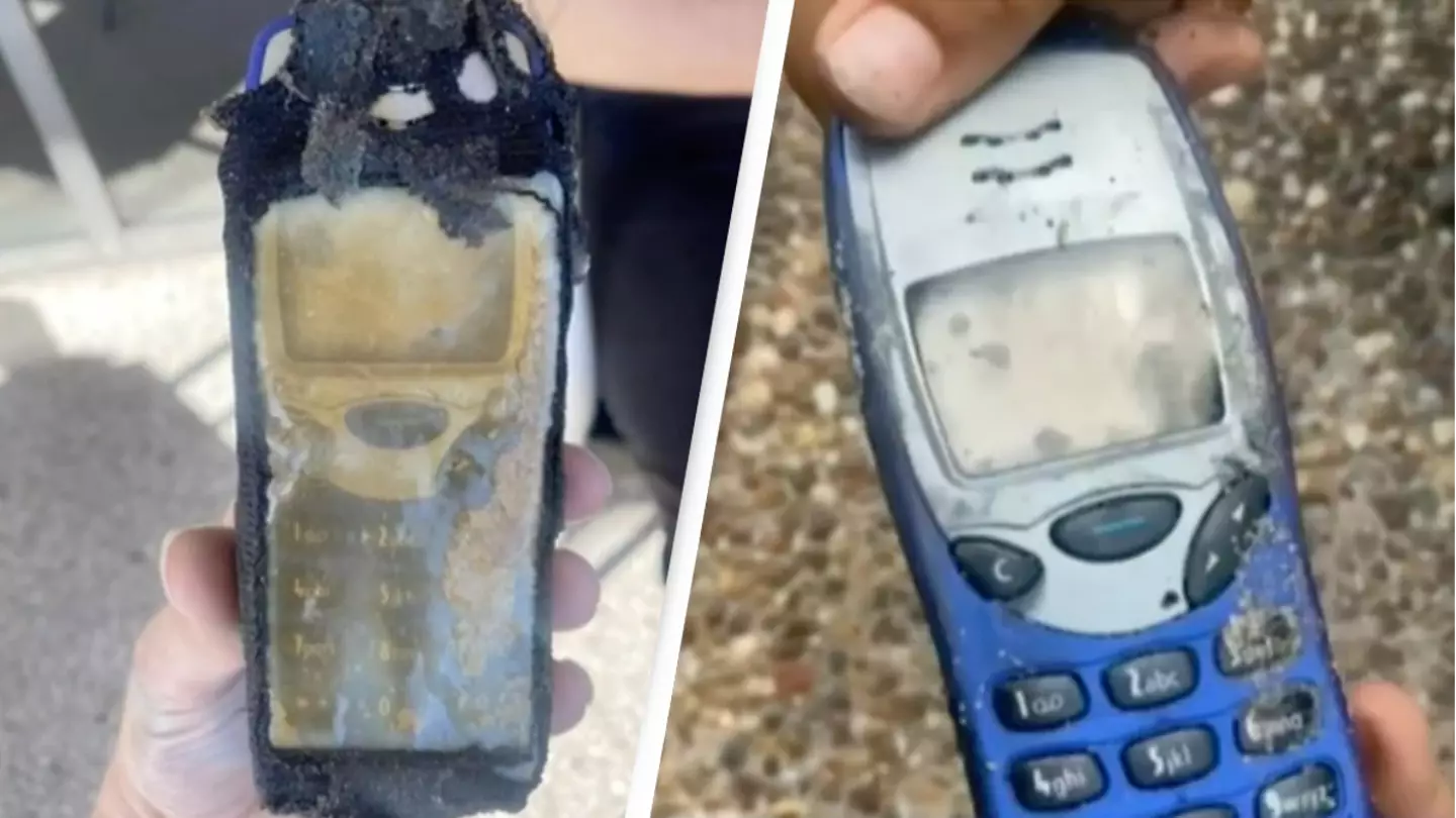 Nokia 3210 from the 1990s washes up on a beach