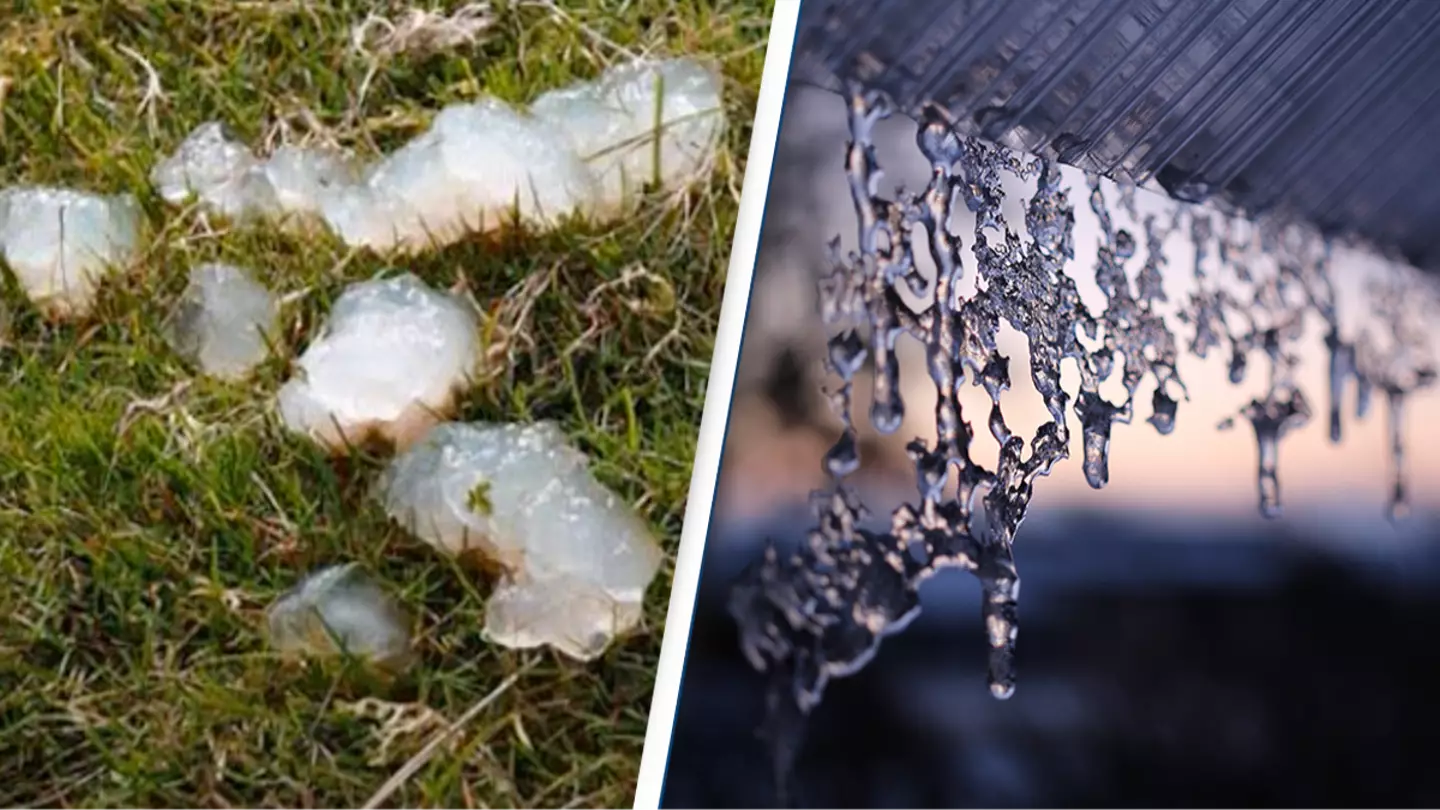 People got sick after 'Jell-O like substance' fell from sky in Washington city