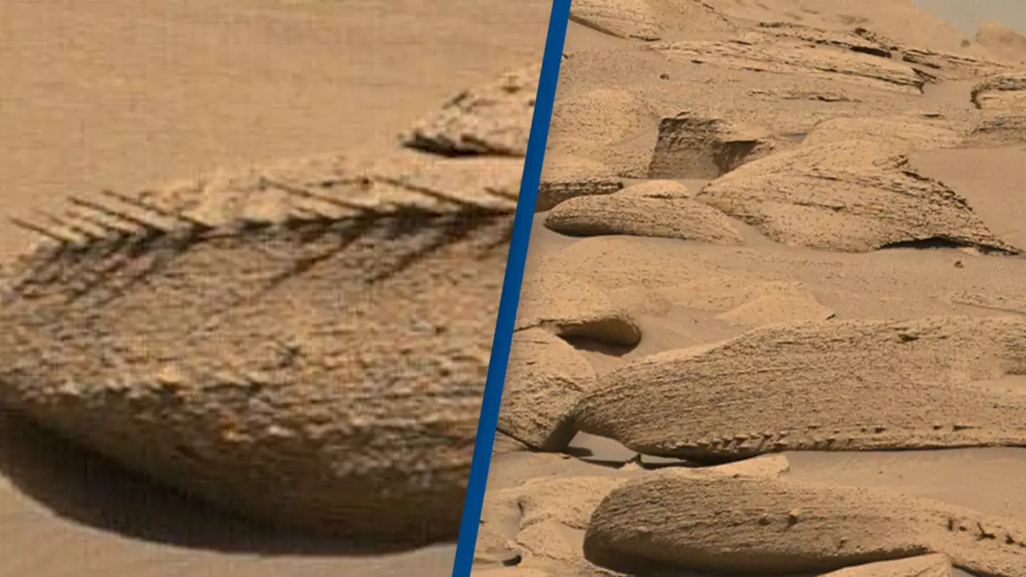 Strange dragon bone-looking rocks spotted on Mars by NASA's Curiosity rover