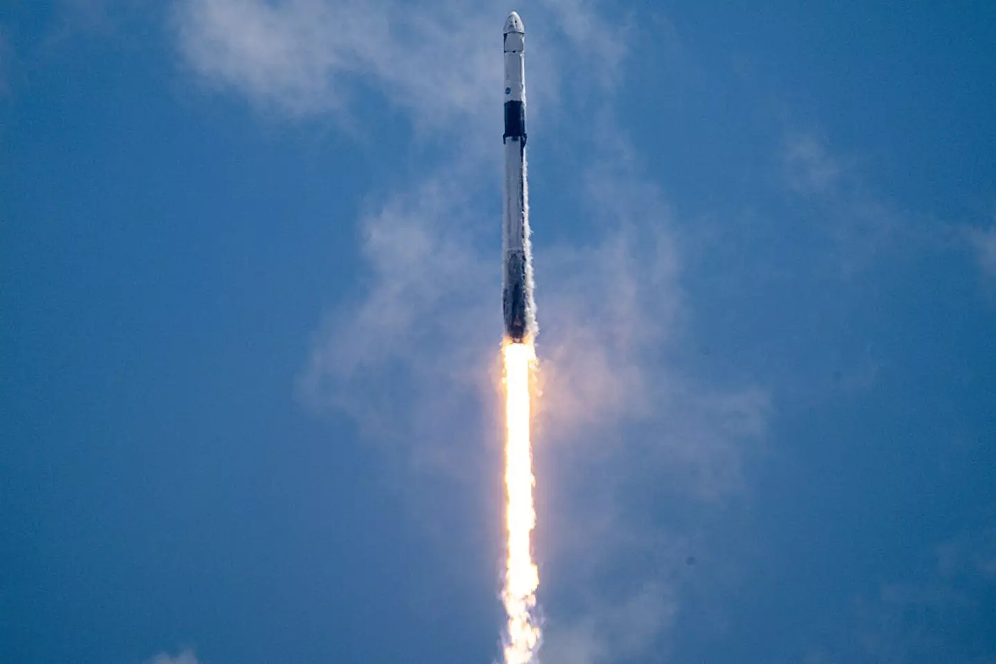 Crew 11 launched on August 1 (Miguel J. Rodriguez Carrillo/Getty Images)