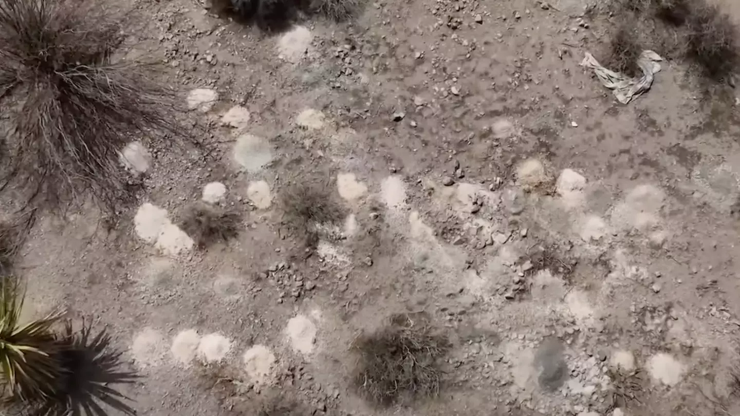 Over 100 piles of human remains found in Nevada desert as federal investigation launched