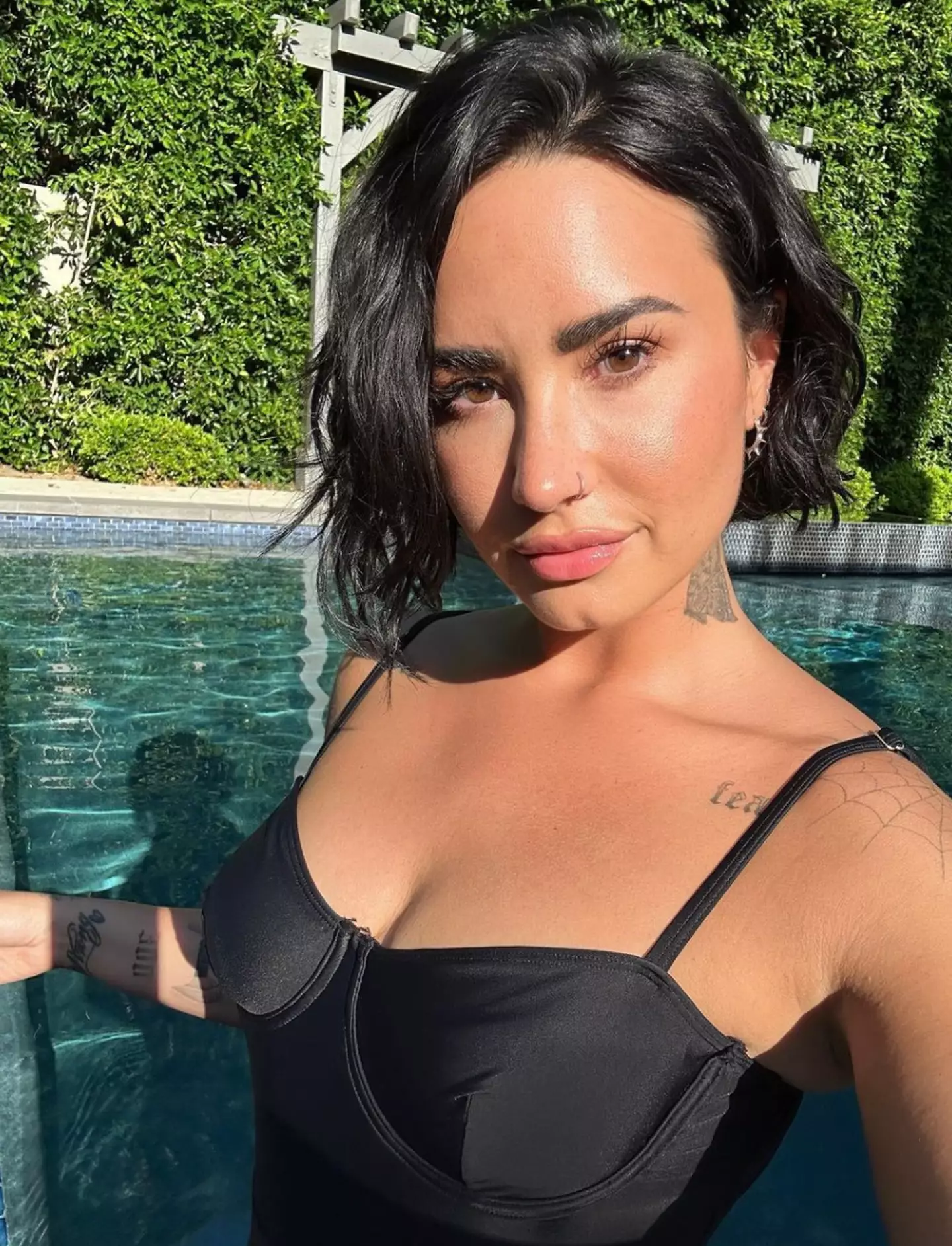 Demi Lovato revealed the inspiration behind her 2015 hit 'Cool for the Summer'.