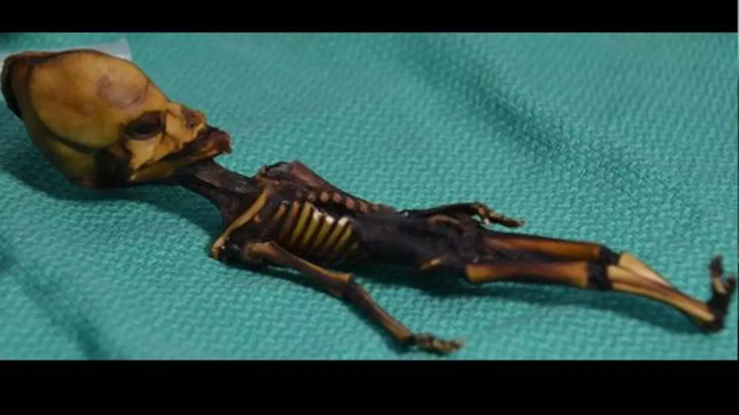 The tiny body was found in Chile back in 2003.