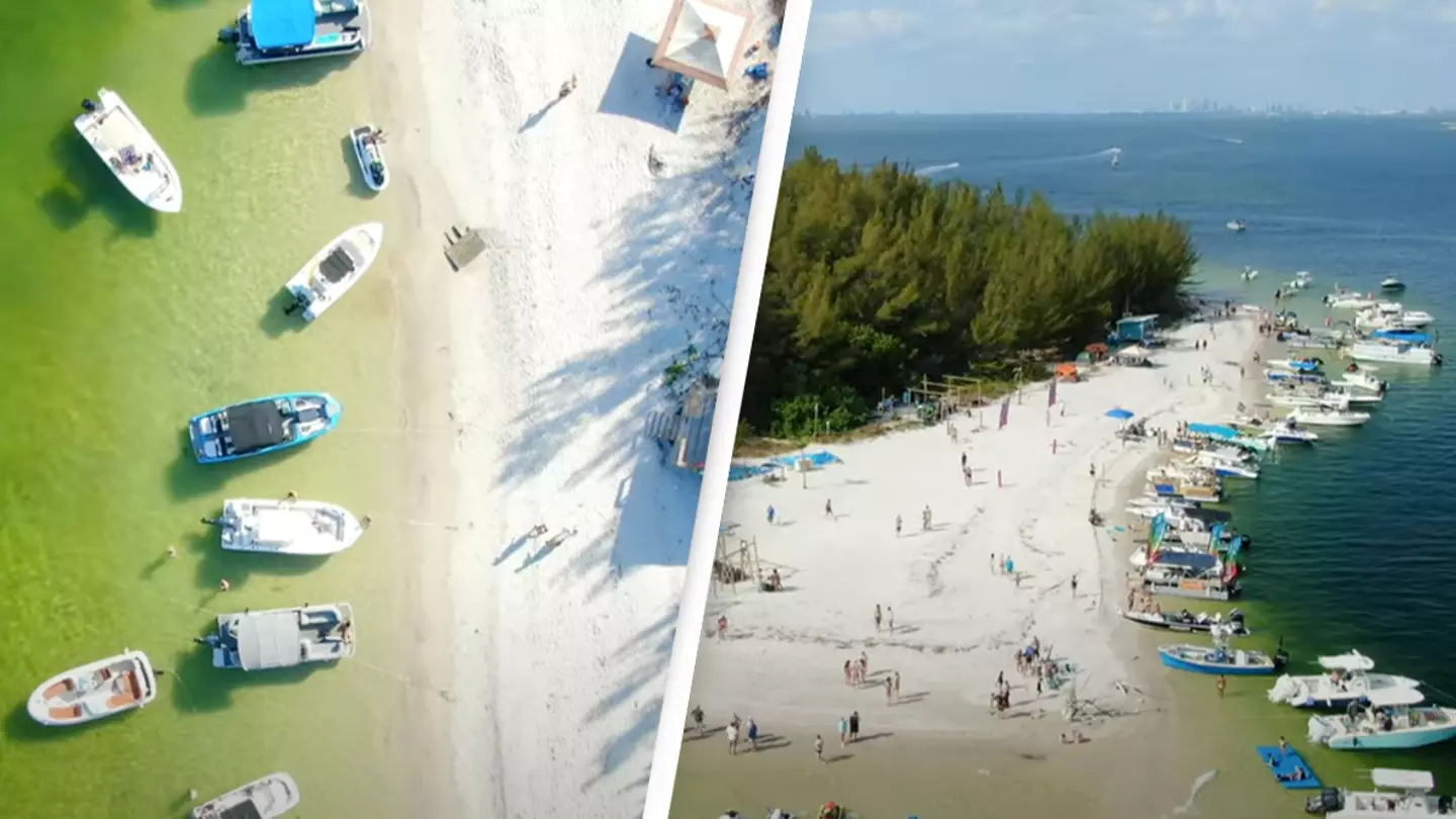 Four friends bought deserted Florida island for $65,000 and completely transformed it into paradise worth $14 million