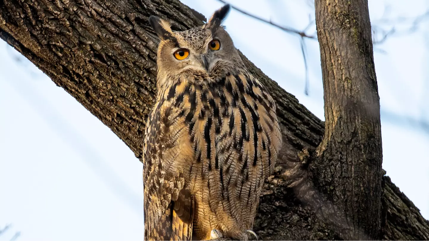 Getty Images/Andrew Lichtenstein