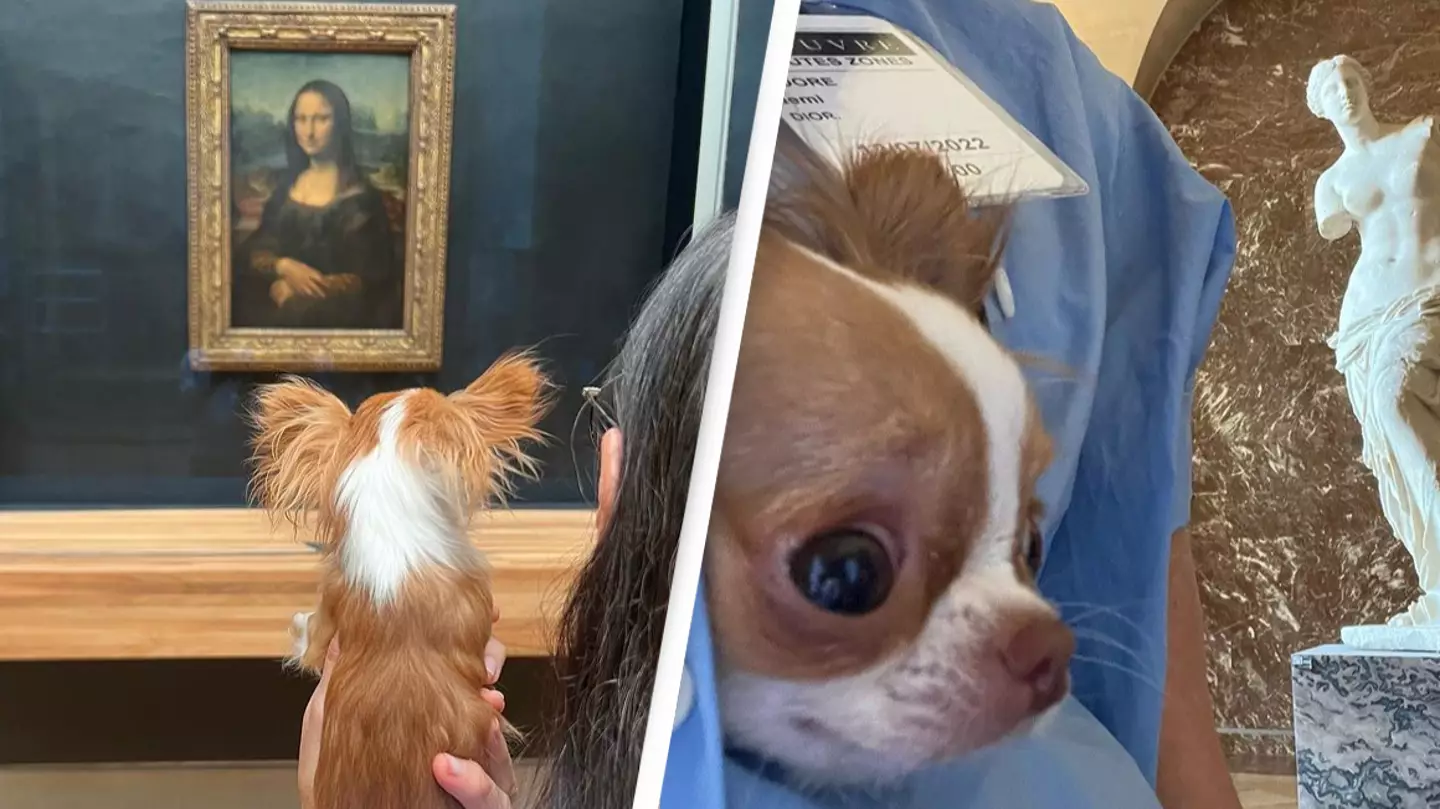 Demi Moore Called Out For Sneaking Her Dog Into The Louvre