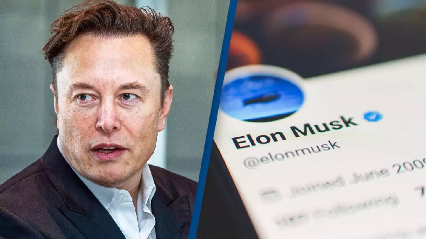 Elon Musk halts $8.00 service for Twitter blue tick just one day after announcing launch