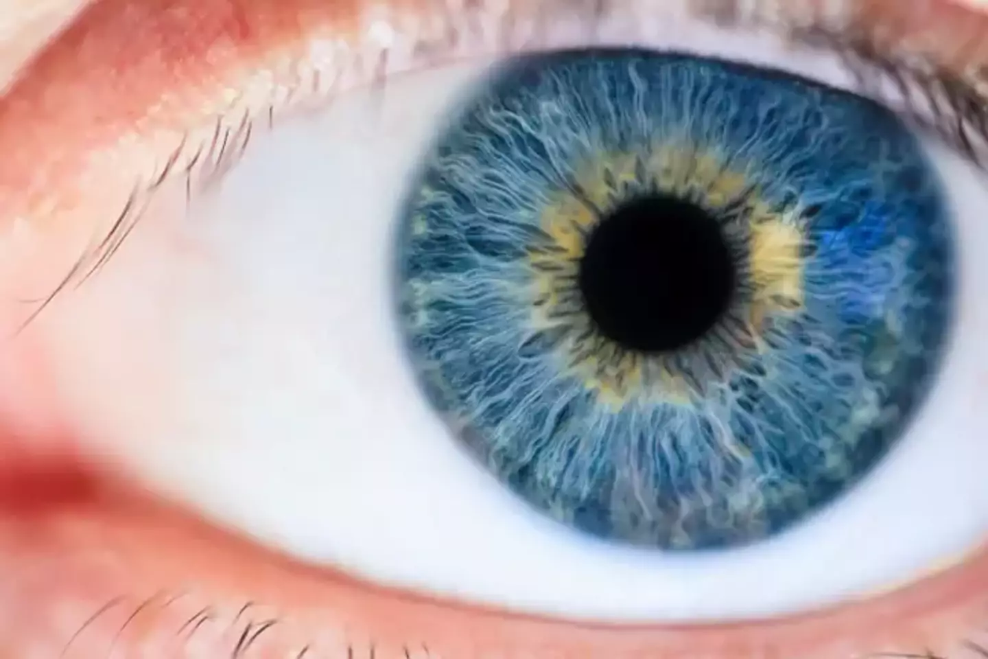Someone living thousands of years ago was the first blue-eyed human, now there are hundreds of millions of them.