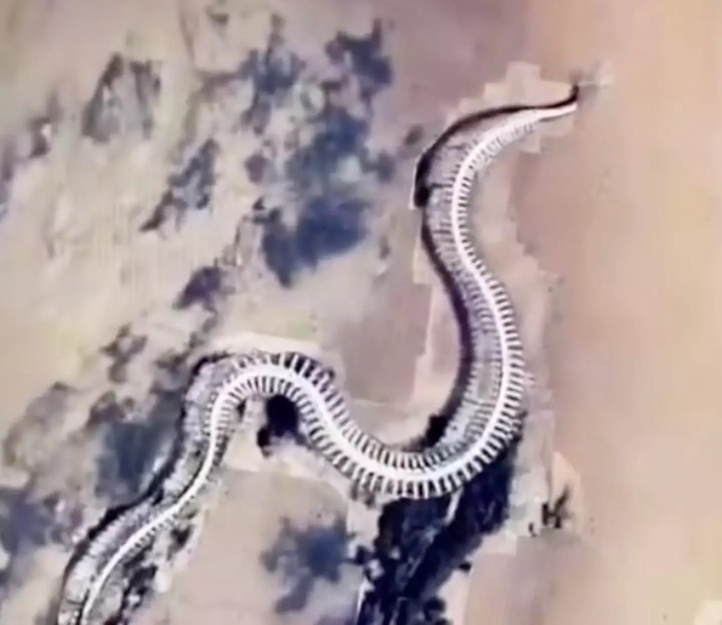 TikToker reveals what looks like a 'giant snake skeleton' in France from Google Maps.