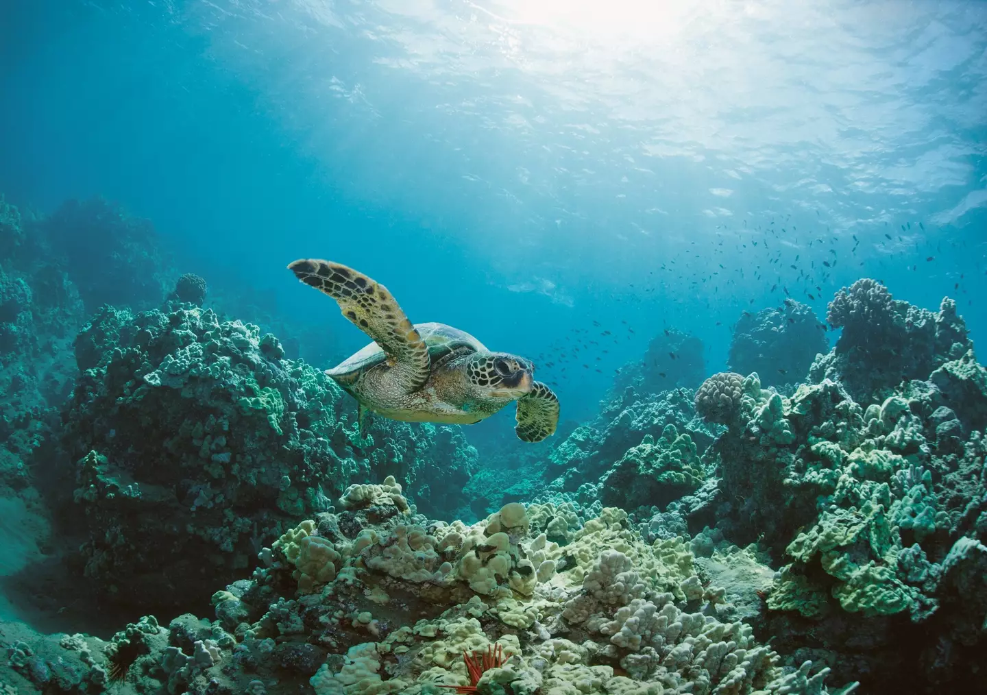 The record-breaking temperature is well above average for this time of year.