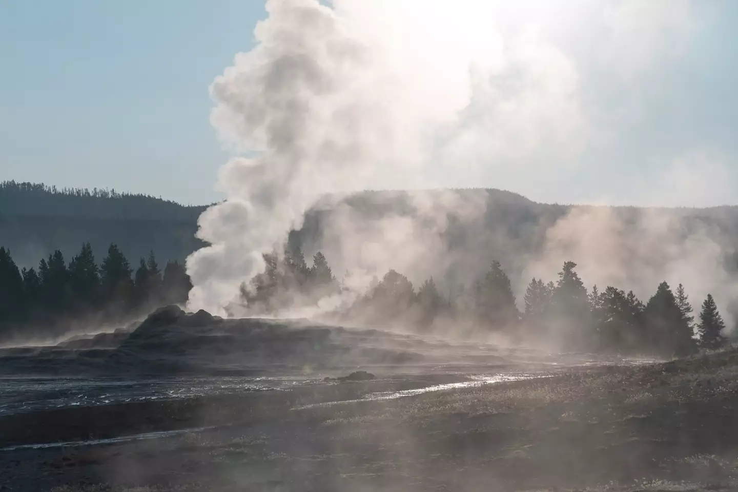The hot springs in Yellowstone are not safe for humans to enter.