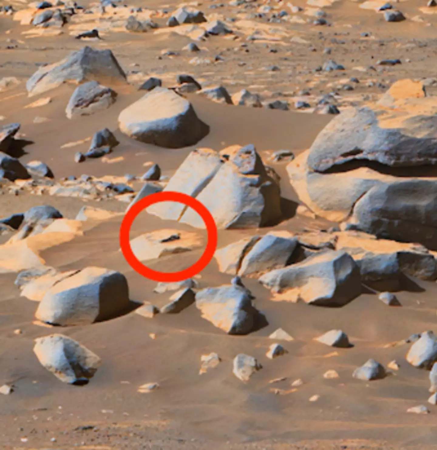 Figure on mars (UFOSightingsDaily.com)