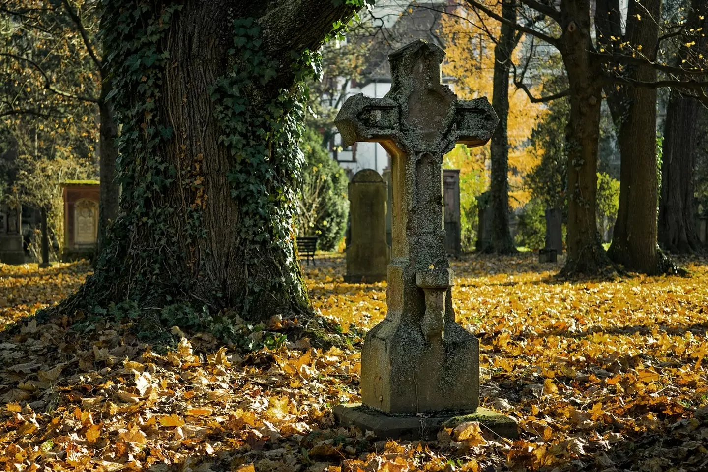 Death is something we all go through (Pixabay)
