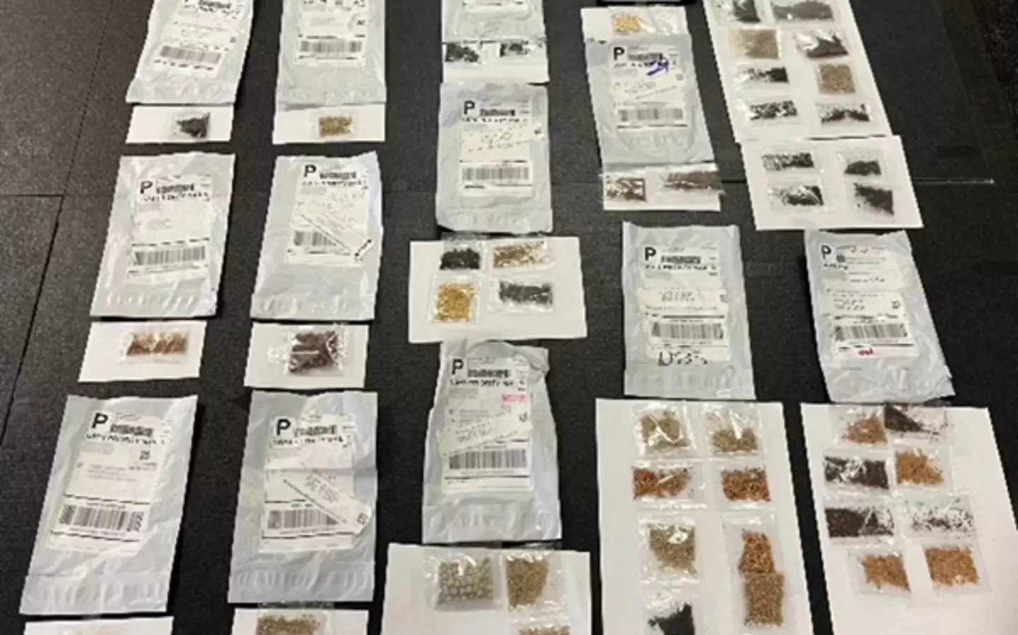 Officials have collected over 1,000 packets of these seeds (Texas Department of Agriculture)