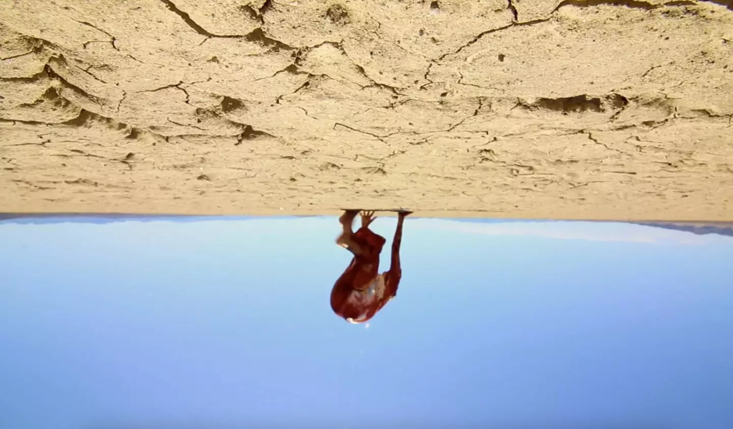 The Outwaters (Cineverse Corp)