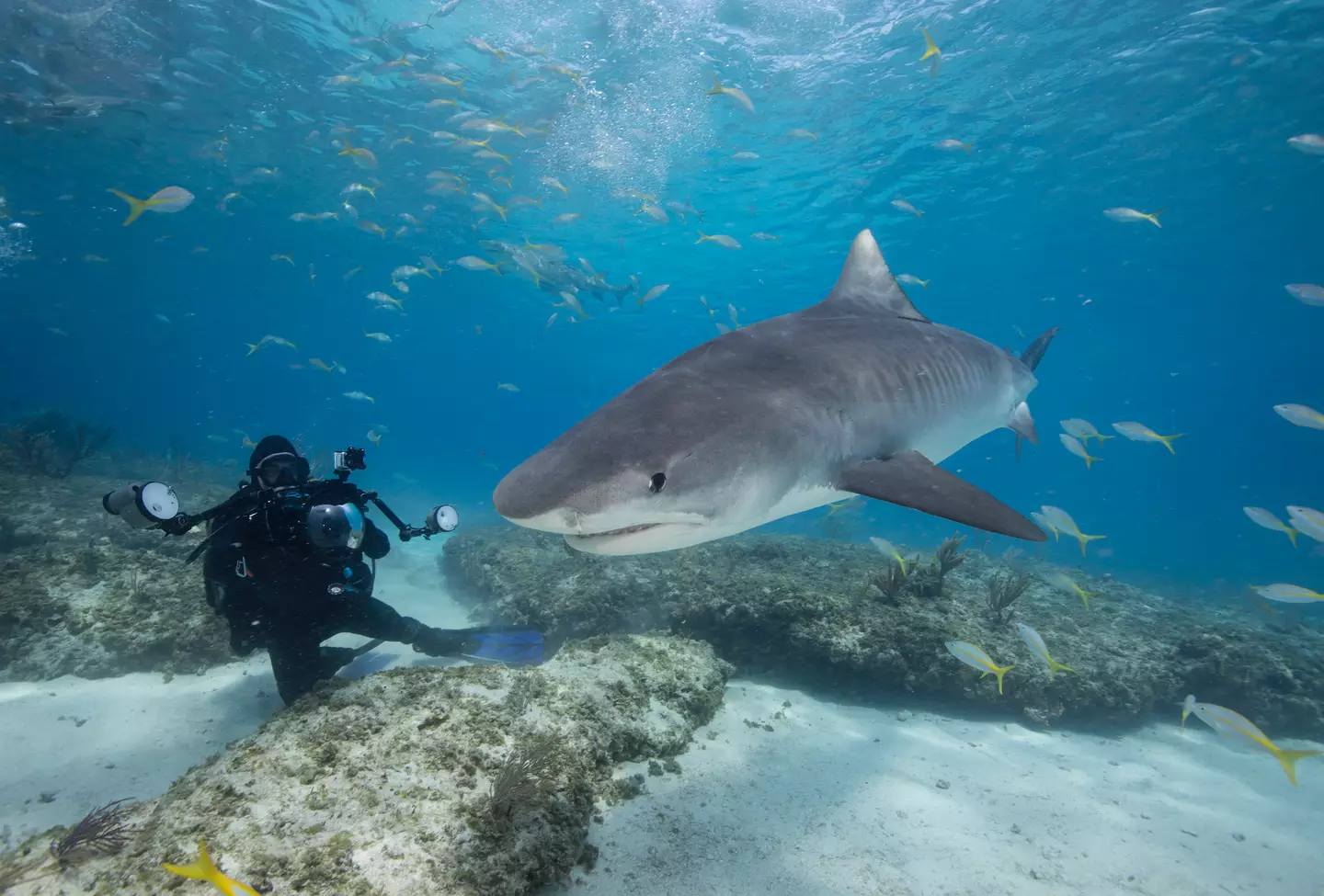 People were less convinced they could pull of the needed moves underwater (Getty Stock Image)