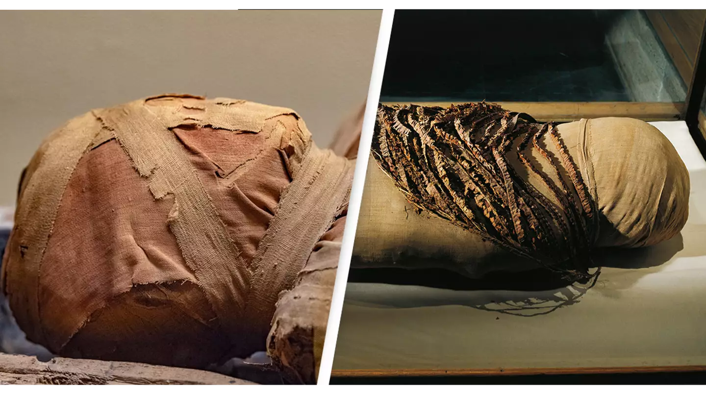 Getty Images/iStockphoto/ DEA PICTURE LIBRARY/De Agostini via Getty Images