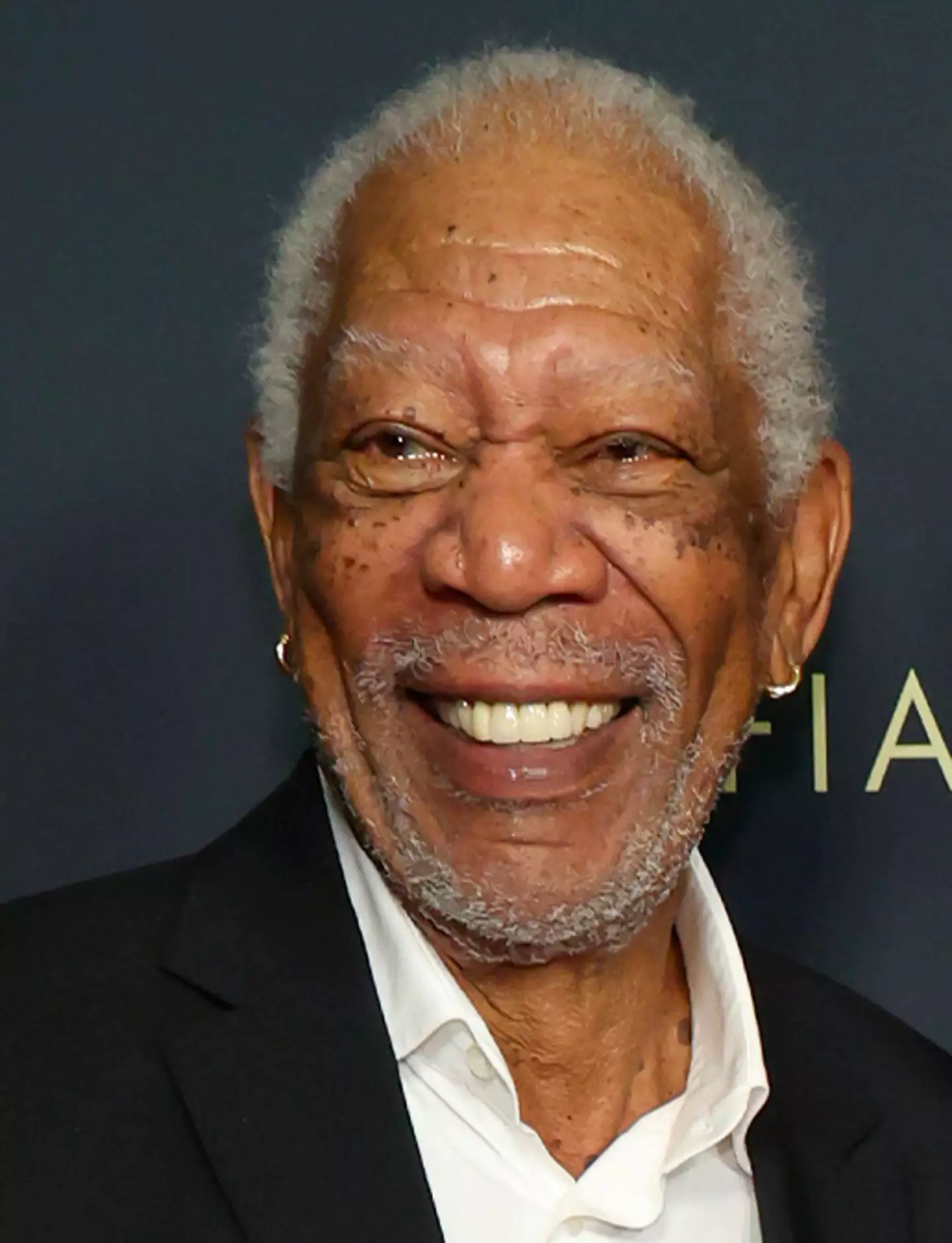 Morgan Freeman voiced his opinion on Black History Month and other subjects related to race.
