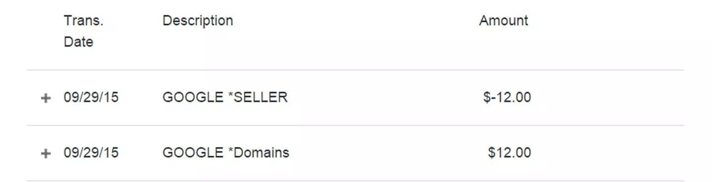 Google allegedly offered Ved money to return the domain name (LinkedIn/ Sanmay Ved)