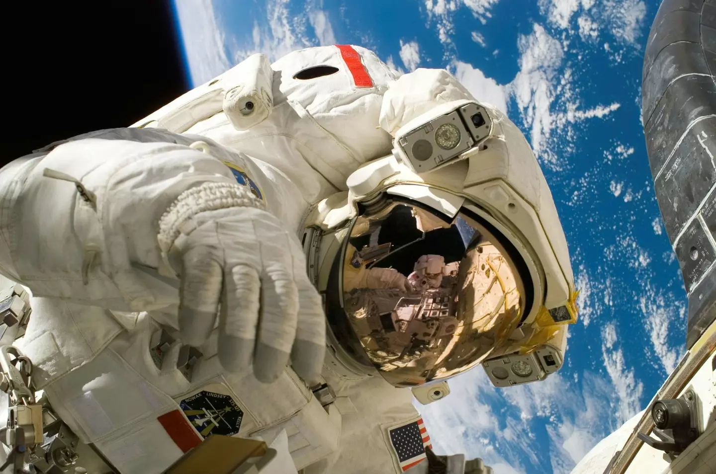 The bacteria could affect astronauts' health. (Pixabay)