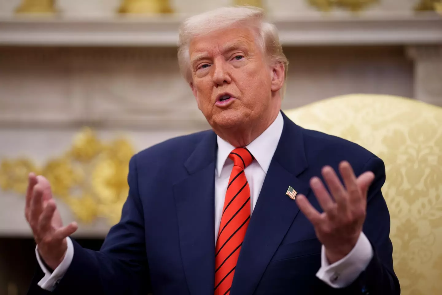 Donald Trump has said he will cut the 'bloat' from the Department of Education(Andrew Harnik/Getty Images)