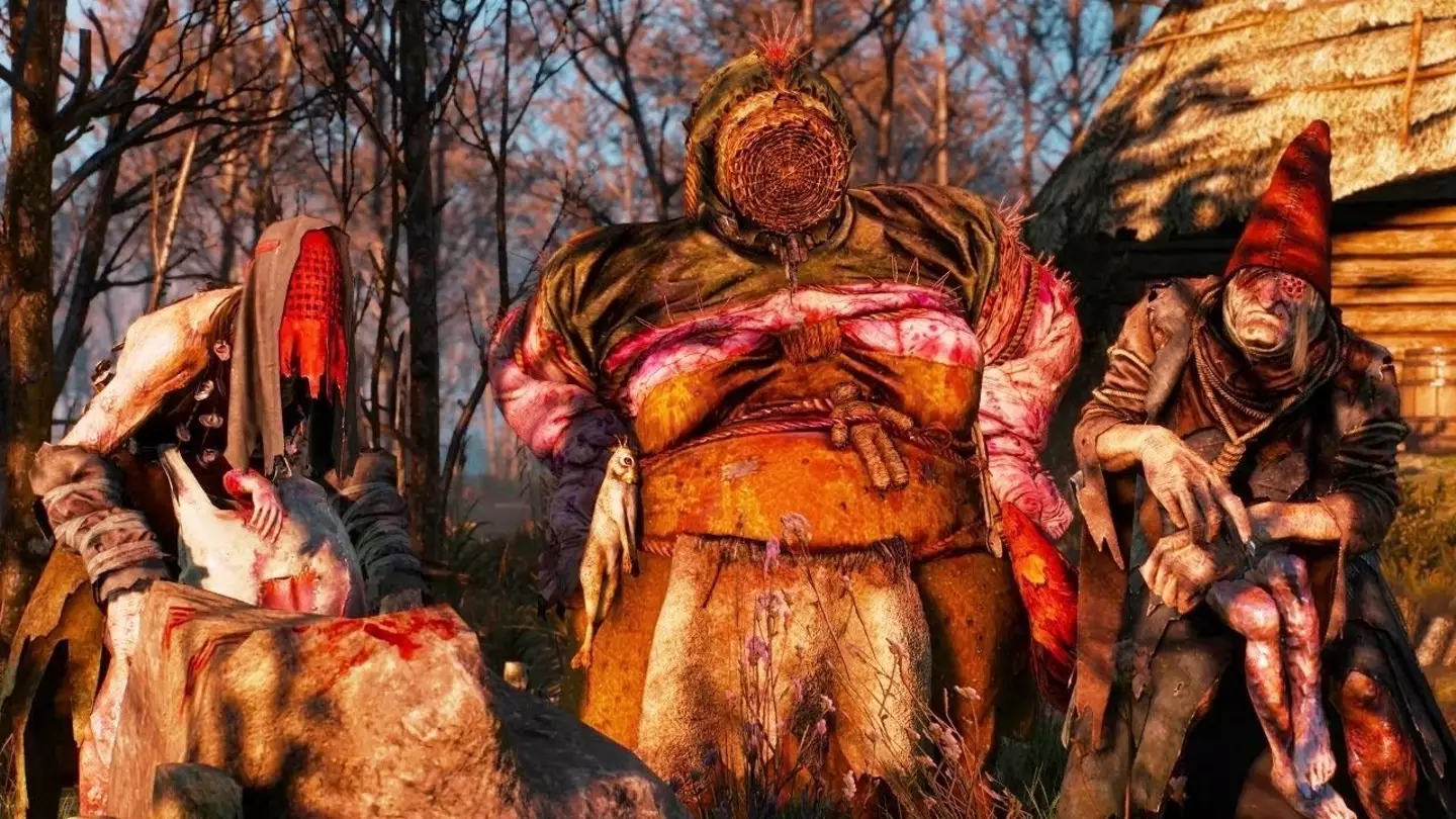 As well as appearing like naked women in The Witcher 3, the crones also look like this sometimes.