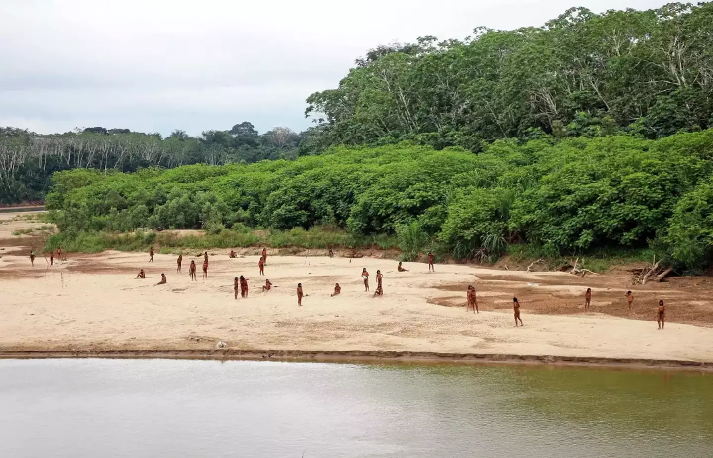 The tribe has a LOT of members. (Survival International)