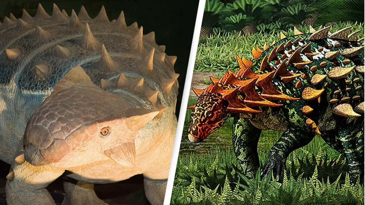 Dinosaur With Terrifying Spiked Armour Remains Unearthed