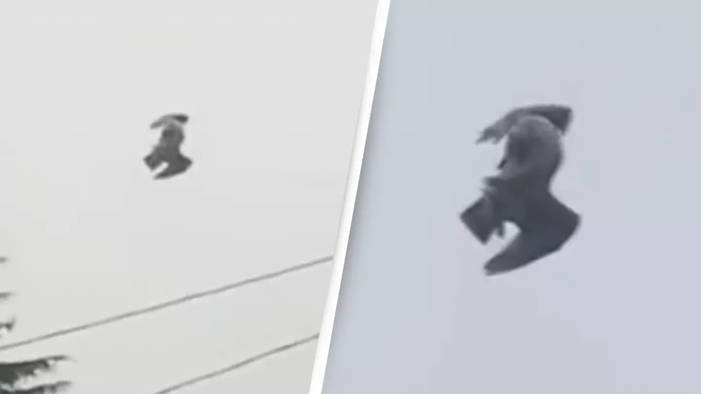 People are convinced there’s a ‘glitch in the matrix’ after bird spotted not moving in sky