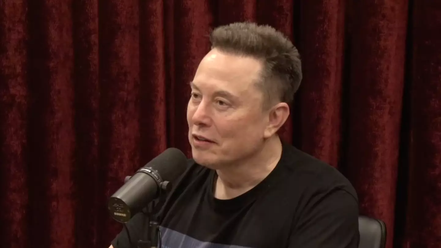 JRE Experience/YouTube