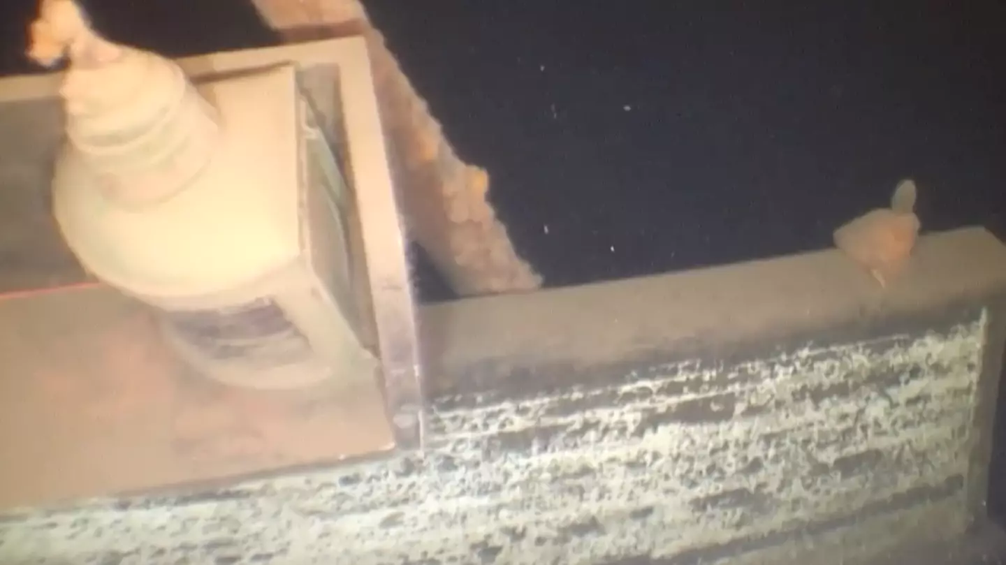 Great Lakes Shipwreck Historical Society