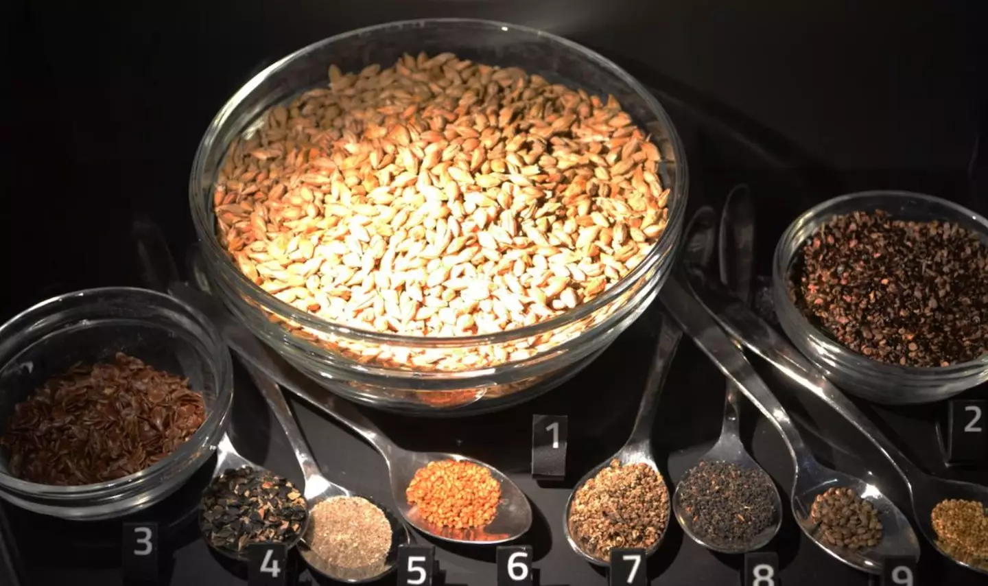 Food like barley, wild buckwheat and flax were found in the man's stomach. (Silkeborg Museum)