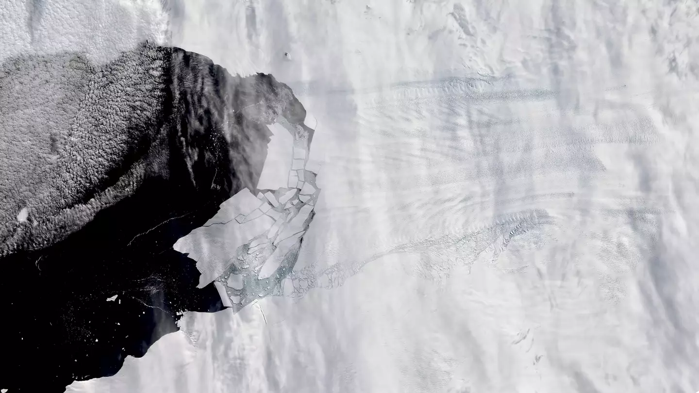 A number of huge icebergs detaching from the Pine Island glacier.