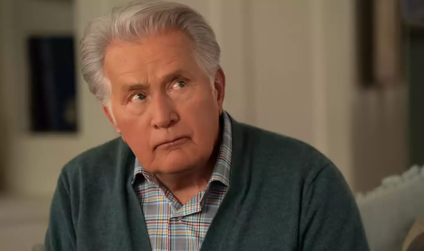 Sheen in Grace and Frankie.