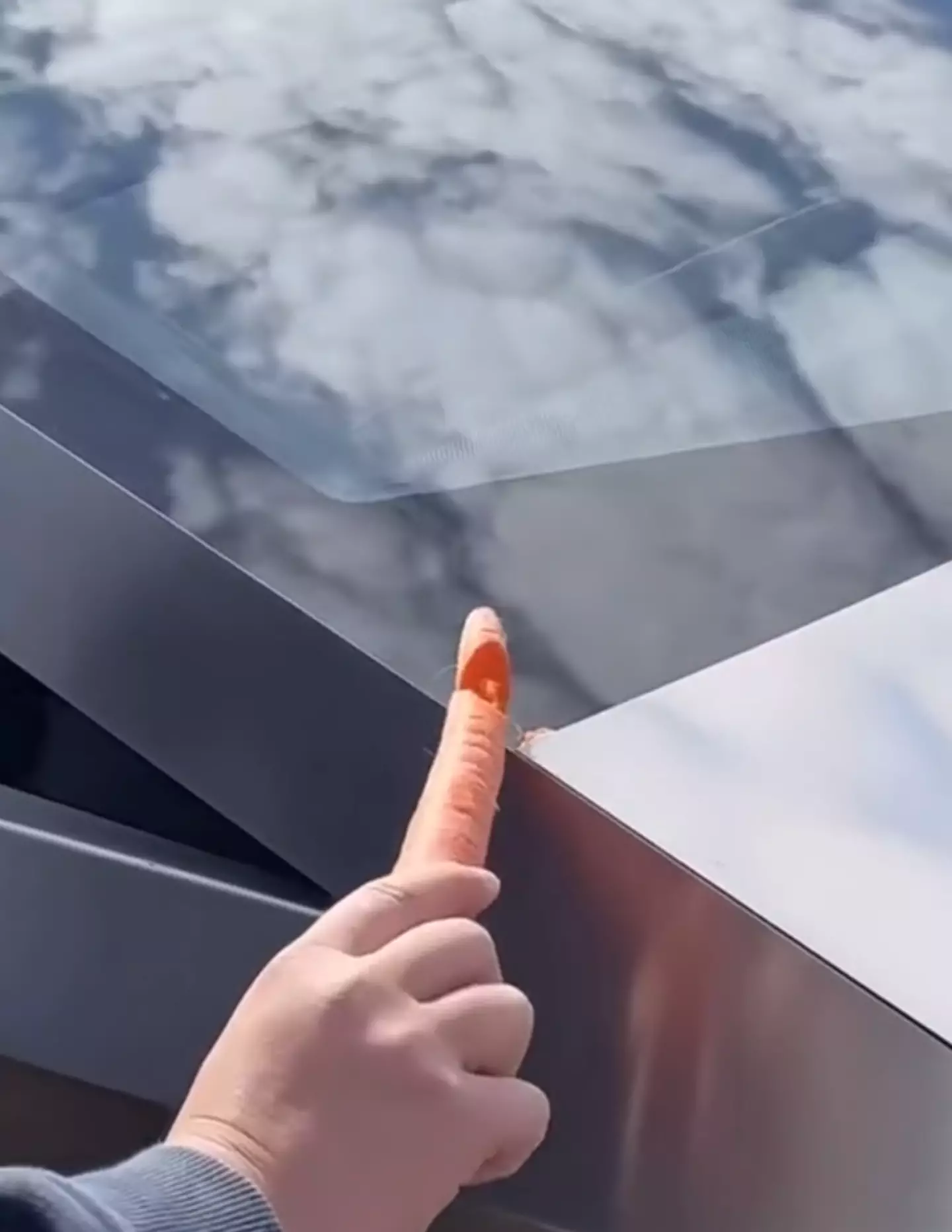 The carrot was almost sliced in two after being caught in the Cybertruck's trunk hood.