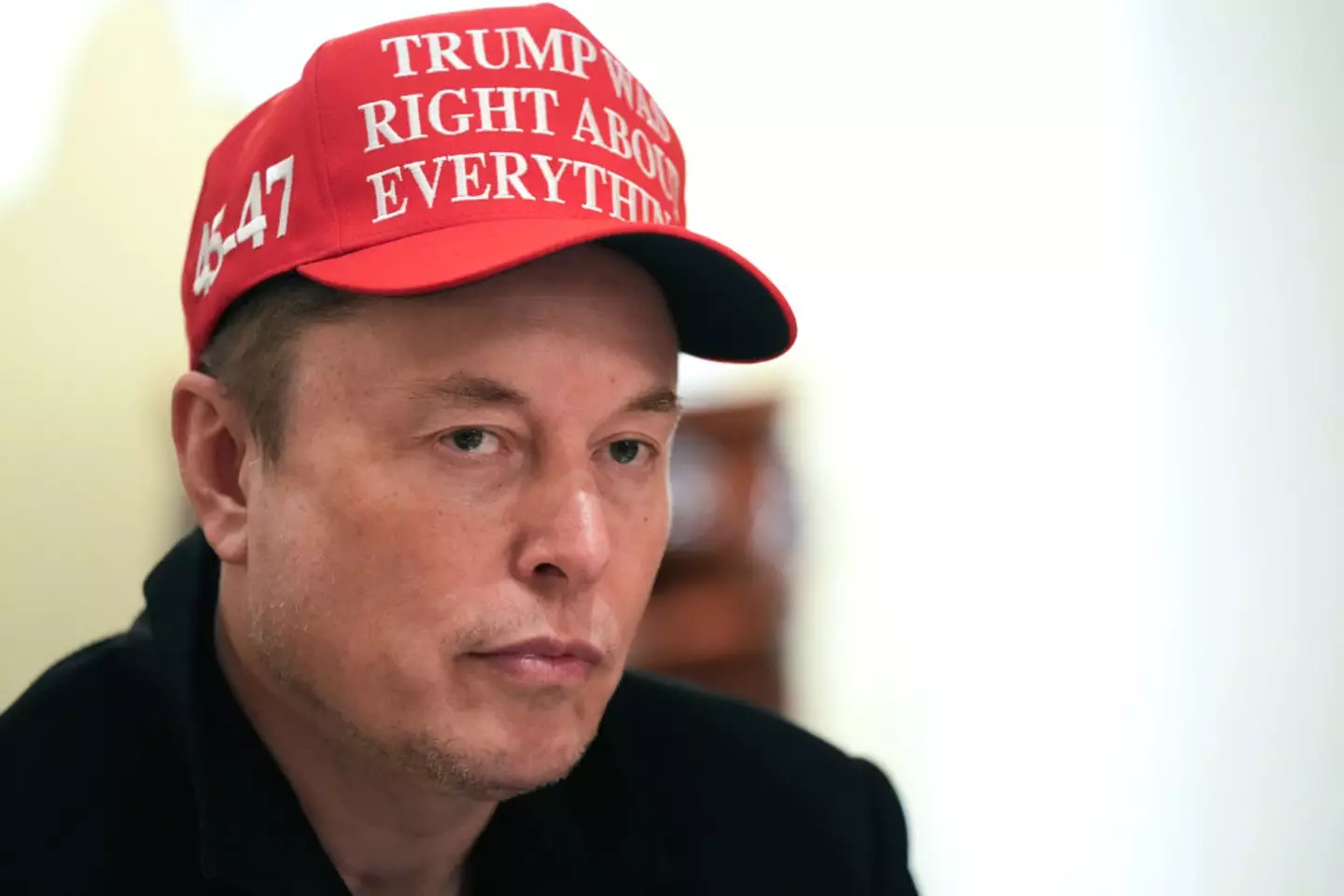 Musk was brought in by Donald Trump to help run DOGE (Win McNamee/Getty Images)