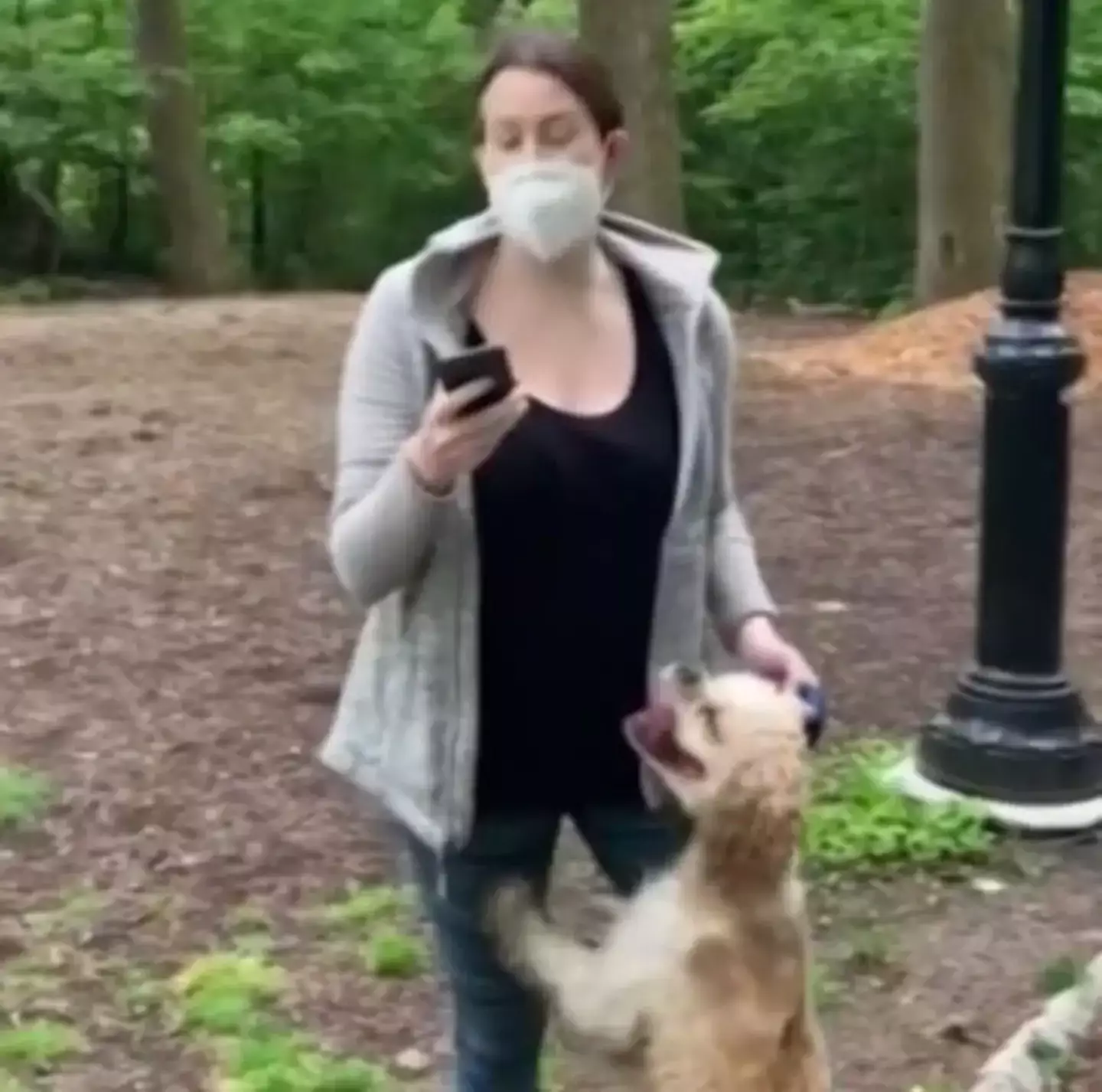 Amy Cooper went viral after she called 911 on Christian Cooper for approaching her after he asked for her dog to be put on a lead.