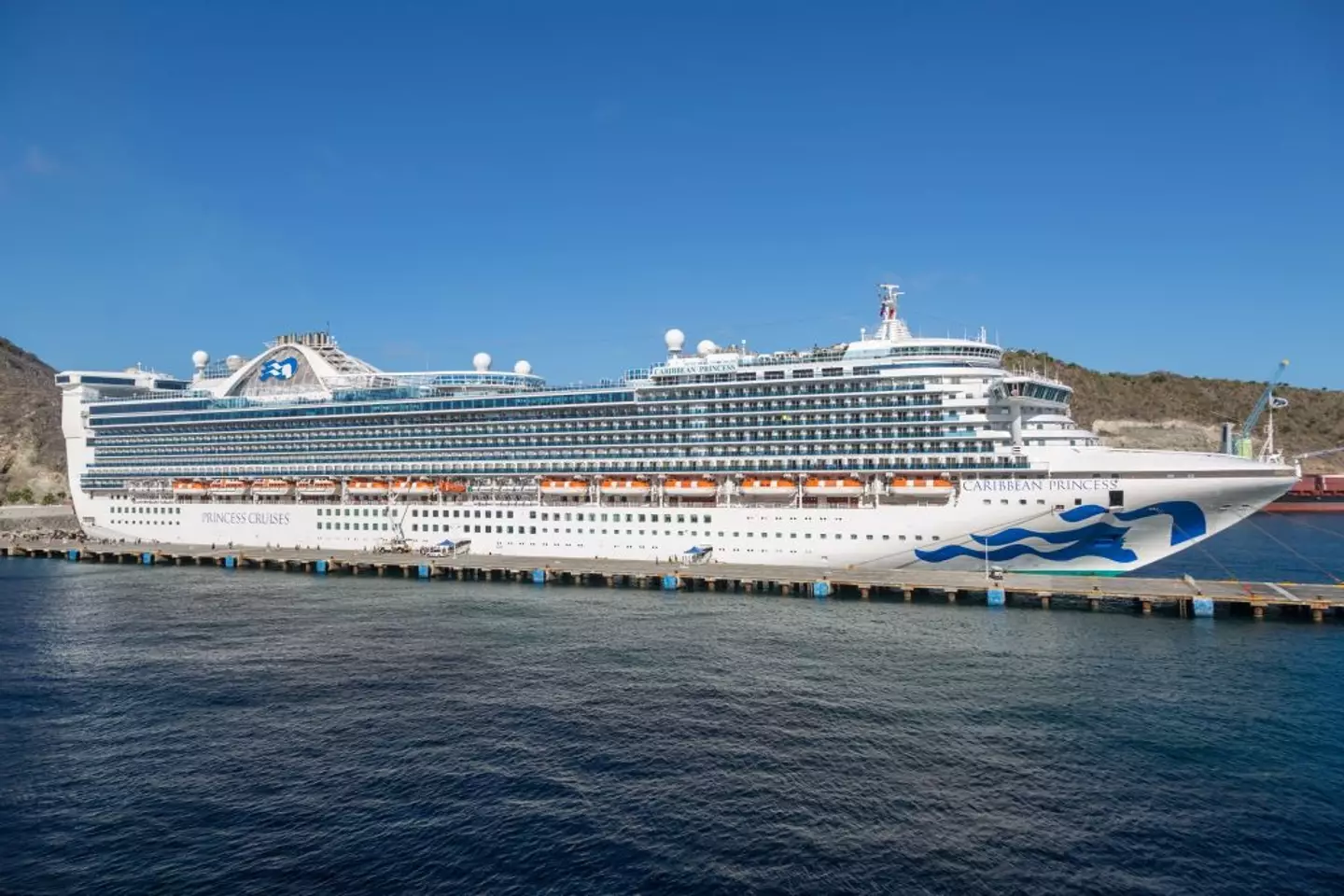 The teenager disappeared while on a cruise (Ron Buskirk/UCG/Universal Images Group via Getty Images)