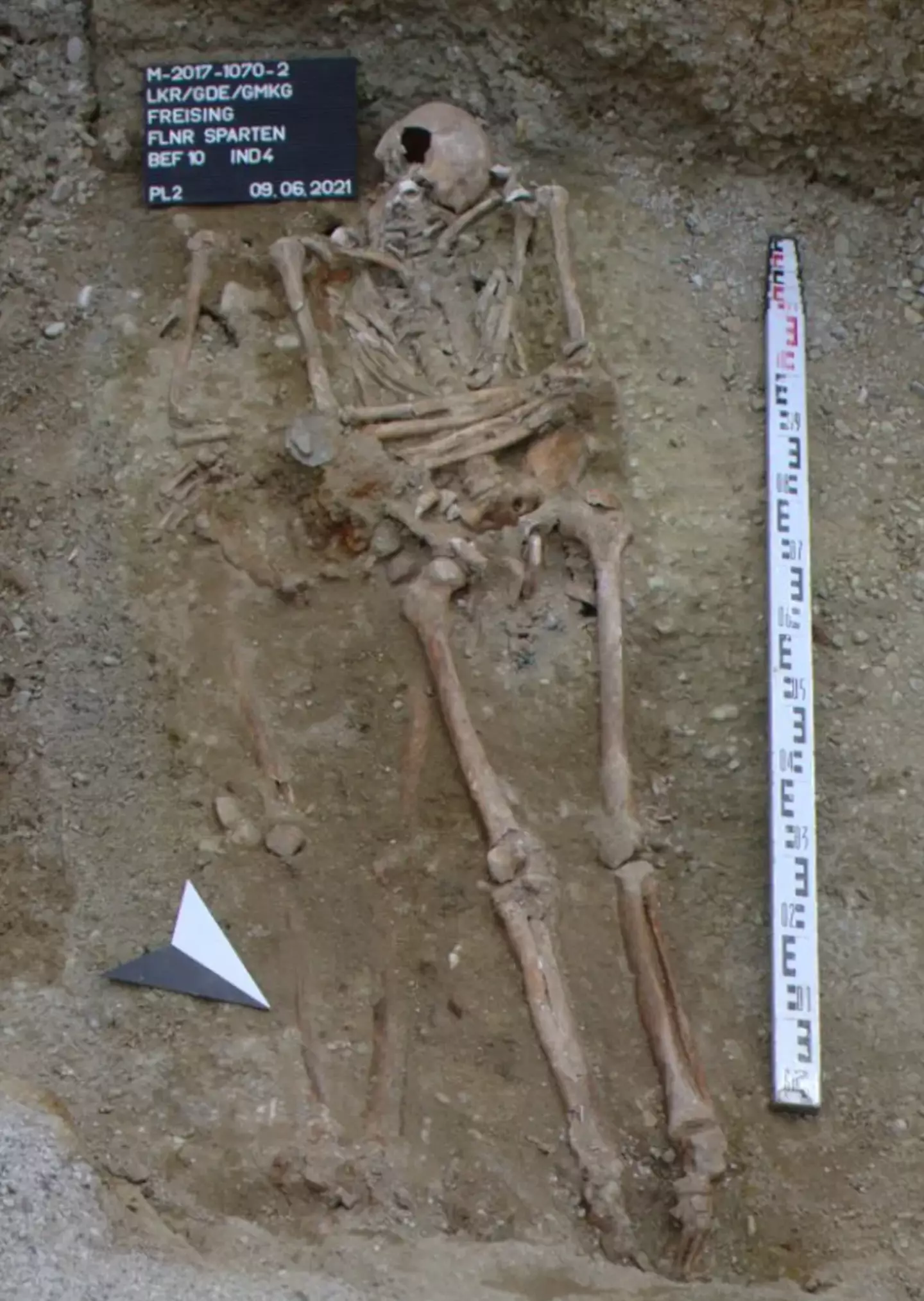 The skeleton was discovered in Freising.
