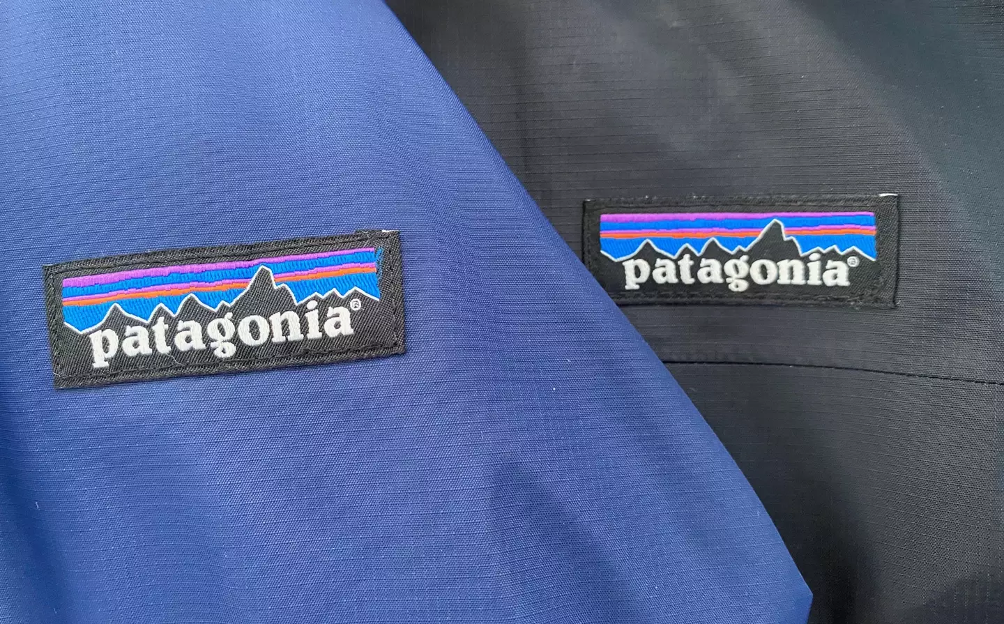 The founder of Patagonia has given the company away.