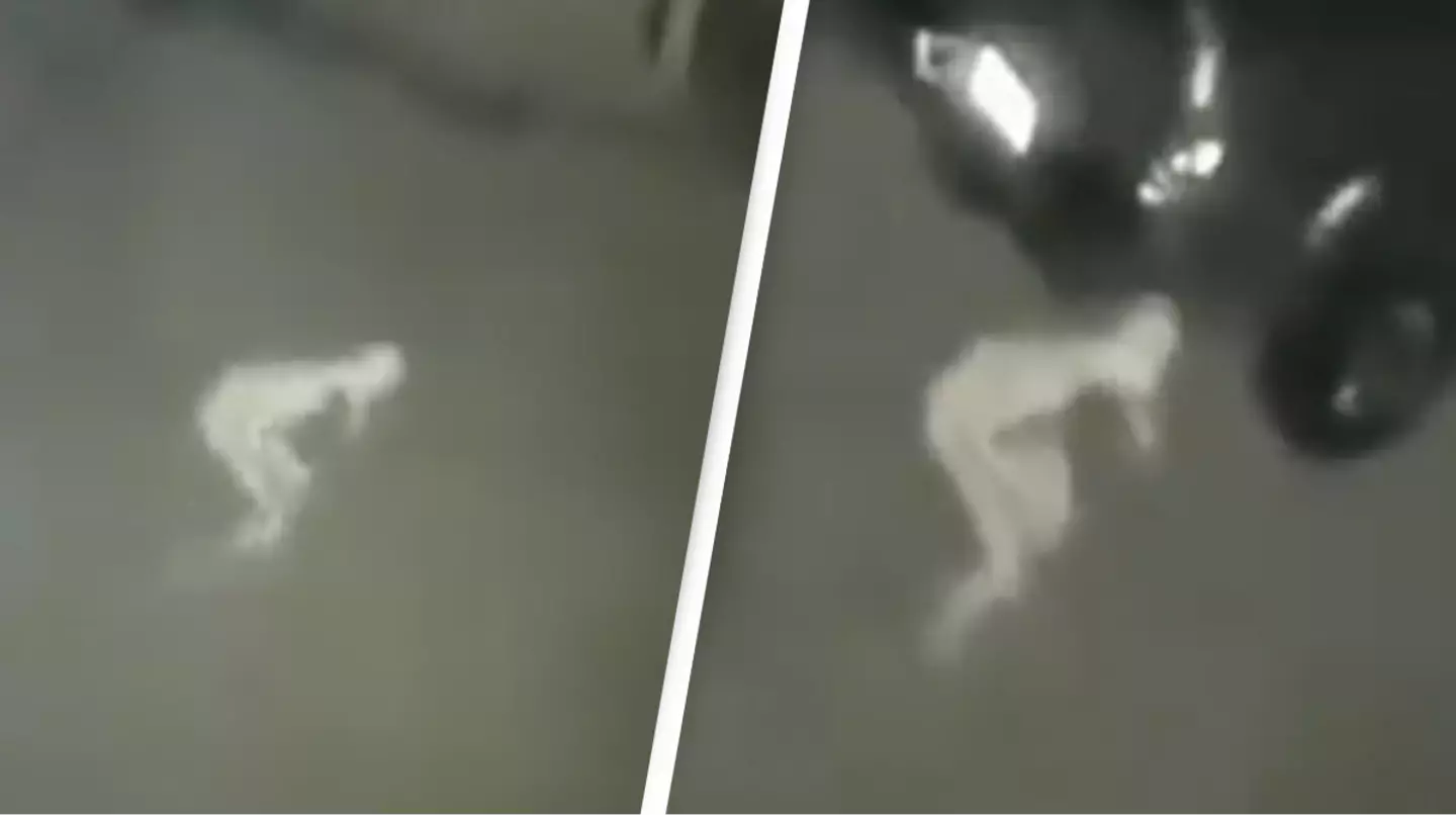 Security Footage Captures Mysterious Pale Creature