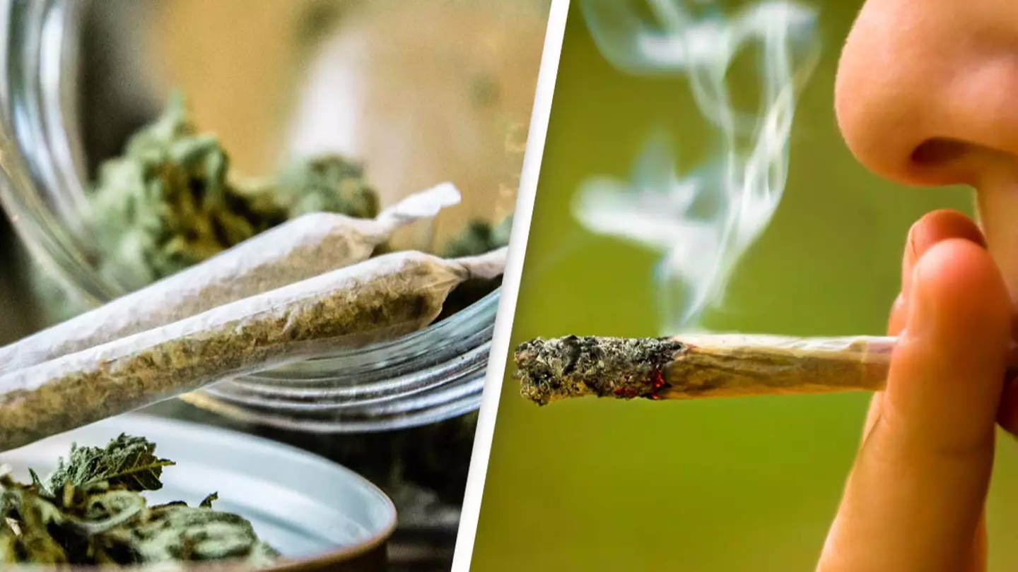 Marijuana company sued for not getting people high enough