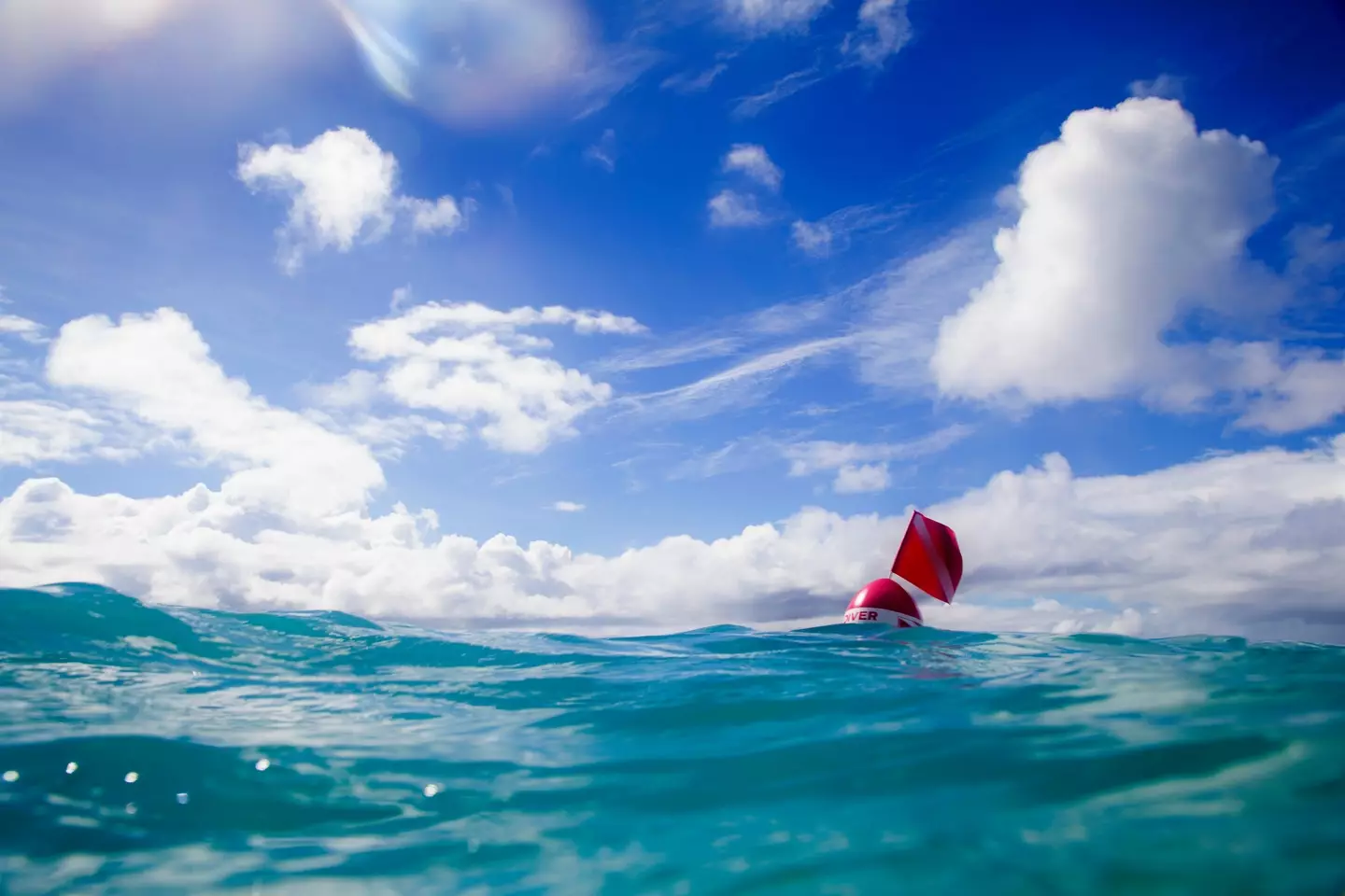 The Argo program has robotic floats dotted across the world's oceans.